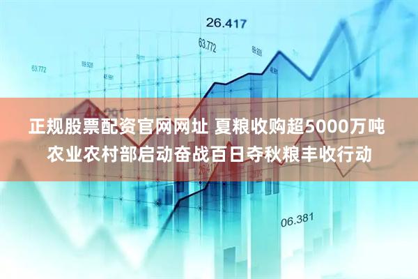 正规股票配资官网网址 夏粮收购超5000万吨 农业农村部启动奋战百日夺秋粮丰收行动