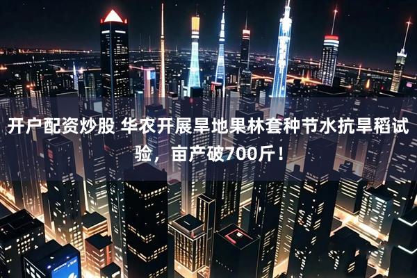 开户配资炒股 华农开展旱地果林套种节水抗旱稻试验，亩产破700斤！