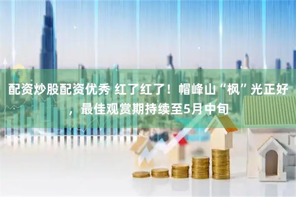 配资炒股配资优秀 红了红了！帽峰山“枫”光正好，最佳观赏期持续至5月中旬